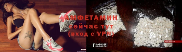 дурь Сатка