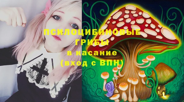 винт Аркадак