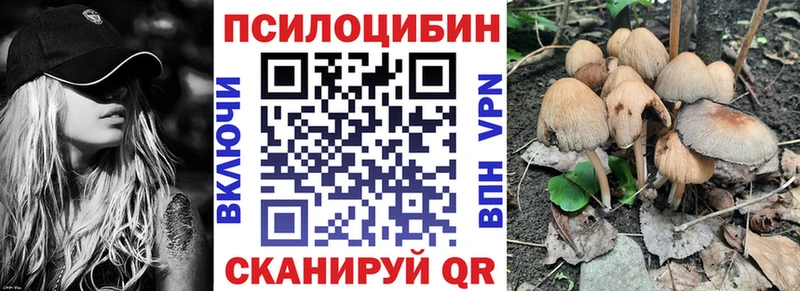 Псилоцибиновые грибы Magic Shrooms  Бежецк 